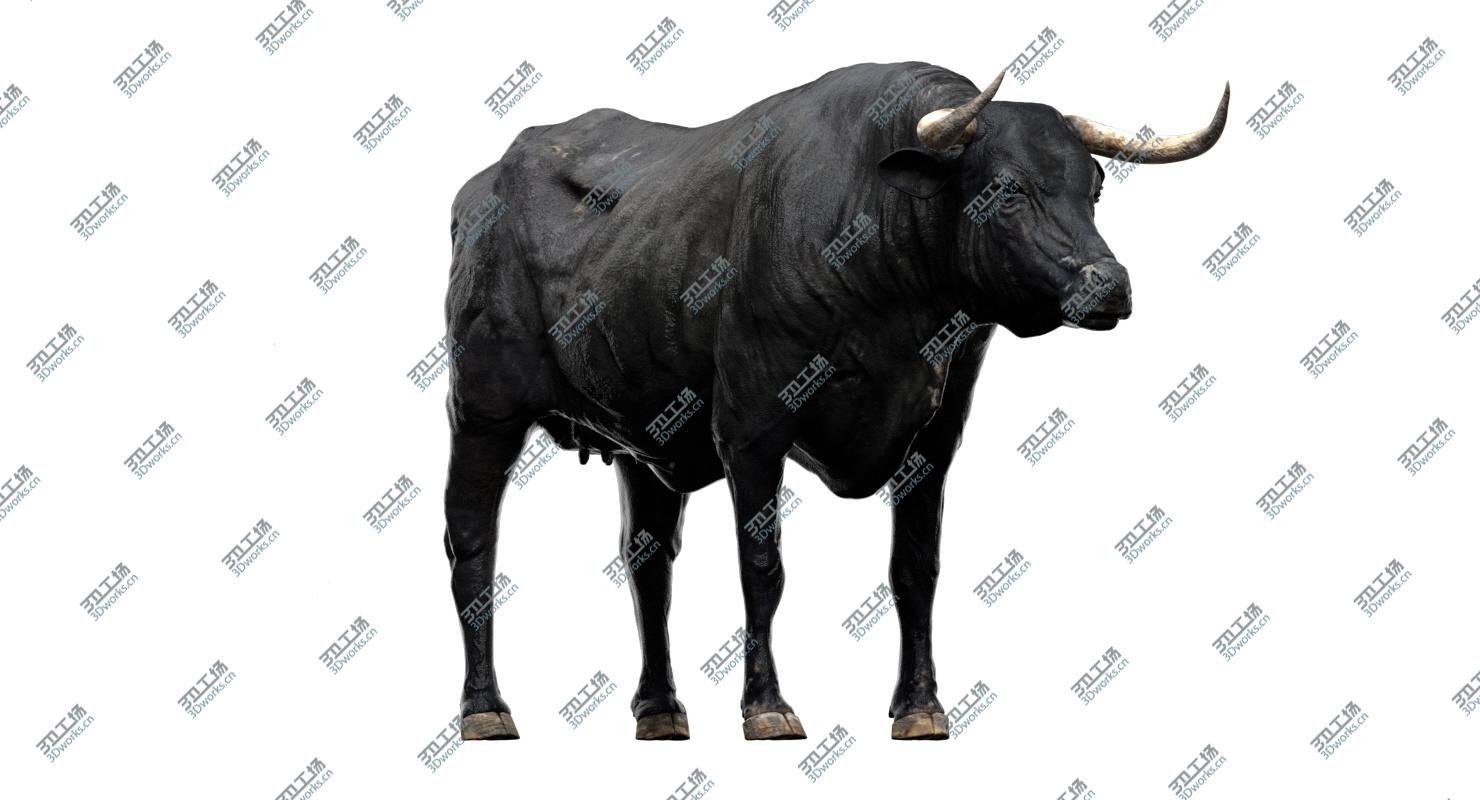 images/goods_img/20210319/Bull Cow (NoFur) (Rigged) 3D/3.jpg
